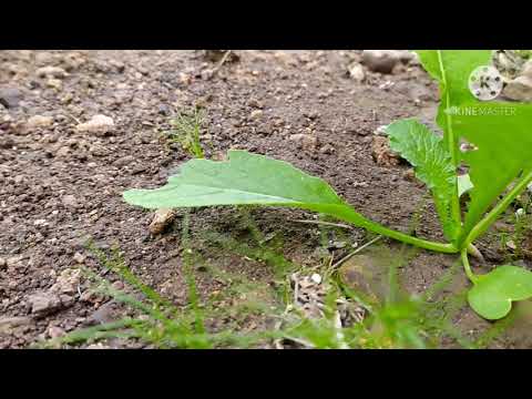 𝓣𝓮𝓽𝓪𝓼𝓱𝓪