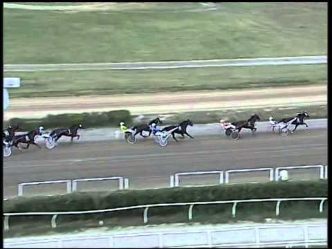 Trotto 16/10/2014 - 4° corsa