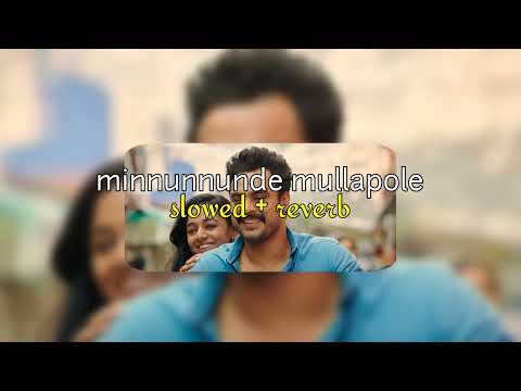 minnunnnunde mullapole ( s l o w e d + r e v e r b ) | tovino | tharangam | lilvibe