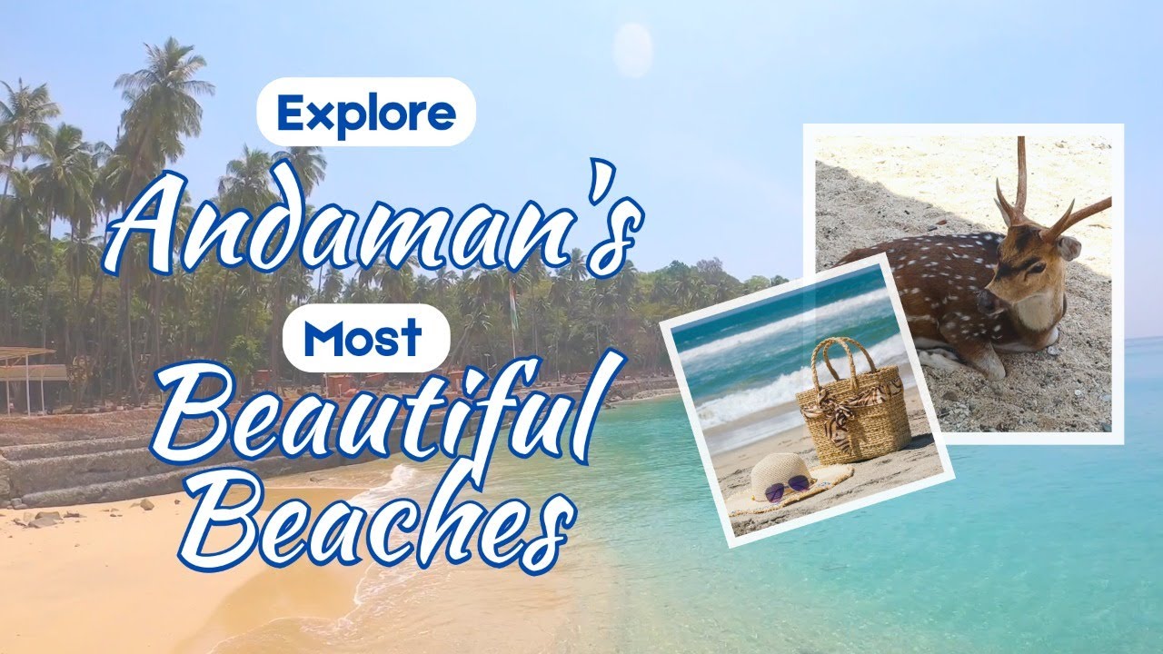 Best Beaches To Visit In Andaman Island | Complete Travel Guide| HerZindagi | Anu Sharma