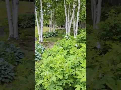 外装カーテンは、空間を装飾しながら保護するのに役立ちます。選び方はこちら！  庭園