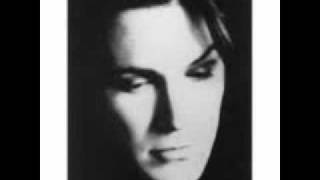 DAVID SYLVIAN - WORLD CITIZEN (taylor deupree rmx)