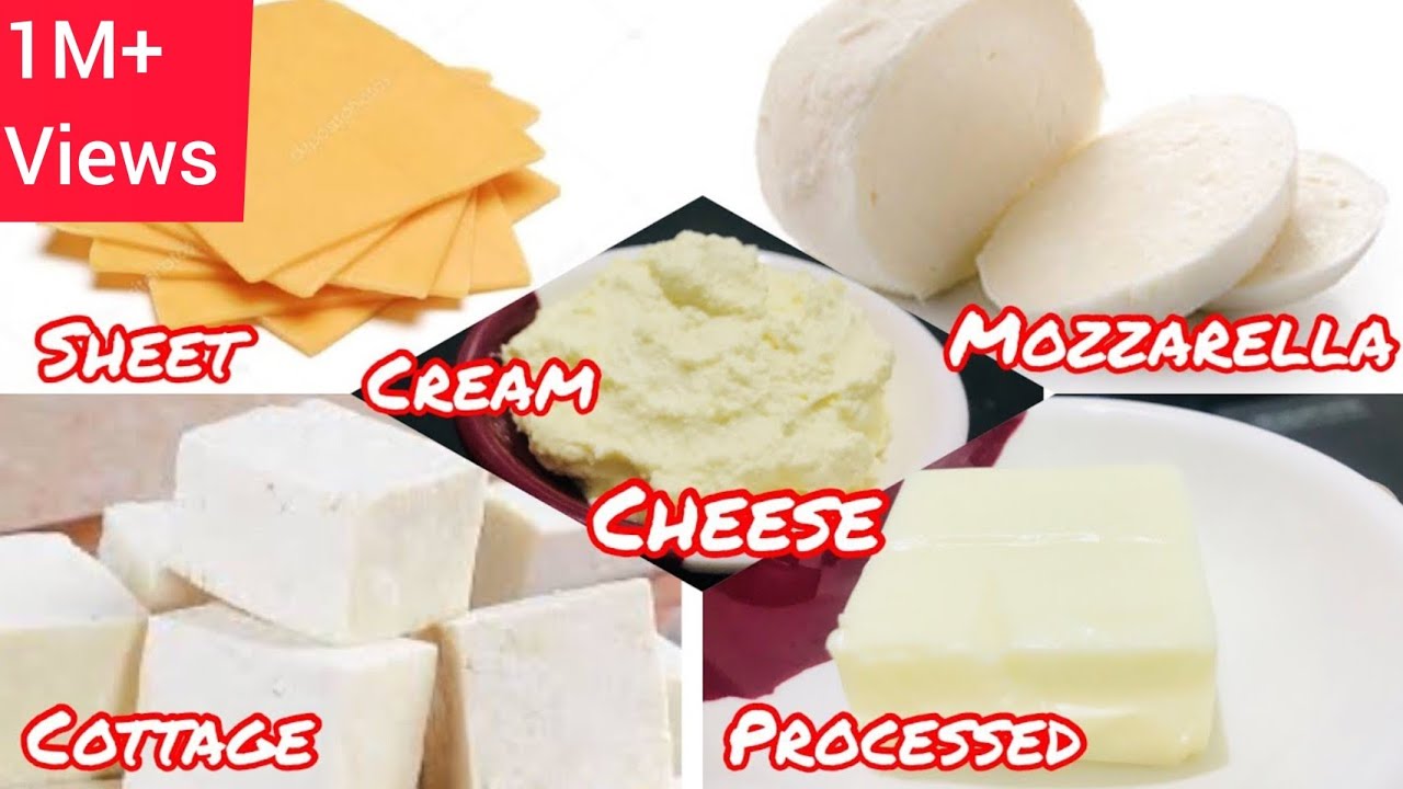 Homemade 5 different types of cheese Recipes | Mozzarella, processed, Cottage, Cream & Sheet Cheese