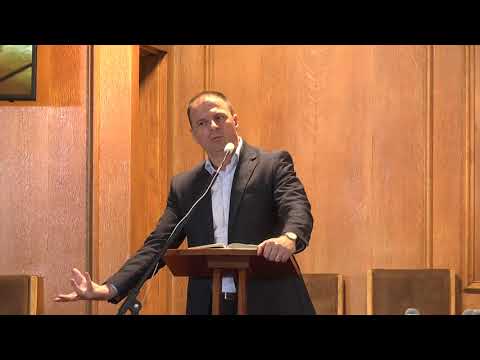 Fratele Mircea Rosca   mesaj Raul Sfant London 17 06 2018 am