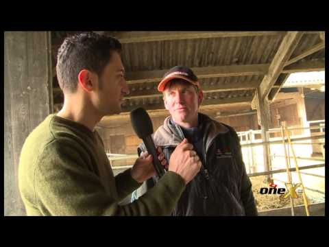 OneX TV - Sendung vom 10. 04. 2013 - OneX TV besucht den Bauernhof Geiser