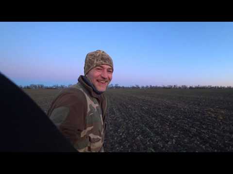 'Жирная' охота на зайца)))))) Коллективная охота на зайца 2020.