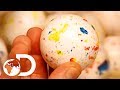 JAWBREAKERS | How It's Made