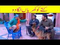 Rana Ijaz New Video | Standup Comedy By Rana Ijaz | New Dog Video | #comedy  @ranaijazofficial55