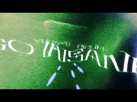 YUCKY G - Go Insane Ft.@fiery_b  (Official Visualizer)