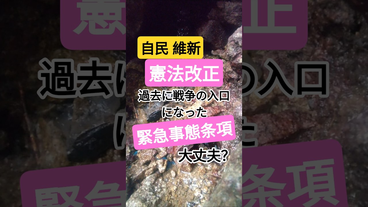 【衆院選】自民・維新の「憲法改正案」過去に戦争の入口になった「緊急事態条項」大丈夫？ #shorts