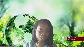 Boulder City Council Meeting 3-2-21