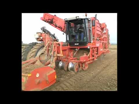 Dewulf R3060 - 2-row self-propelled potato harvester