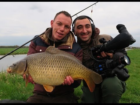 Visblad TV - pen fishing for polder carp