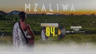 Download lagu DRIEMO ft WEZI - Zapamwamba (official audio Visualizer) mp3