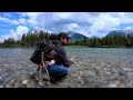 Video Thumbnail for Incredible Mountain Trout Canmore Alberta! BOW RIVER Fishing