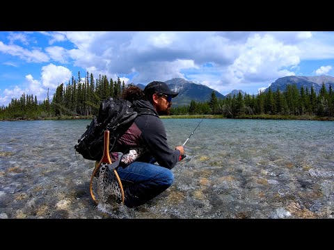 Incredible Mountain Trout Canmore Alberta! BOW RIVER Fishing