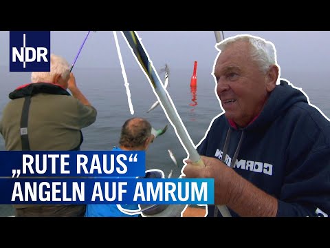 Extremangeln auf Amrum | Rute raus, der Spaß beginnt! | NDR
