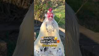 Download lagu HAPPY BIRTHDAY! ๐๐๐ฅณ #happybirthday #birthday #rooster #chicken #funnymemes #chickenhappyhour mp3 Download lagu HAPPY BIRTHDAY! ๐๐๐ฅณ #happybirthday #birthday #rooster #chicken #funnymemes #chickenhappyhour mp3