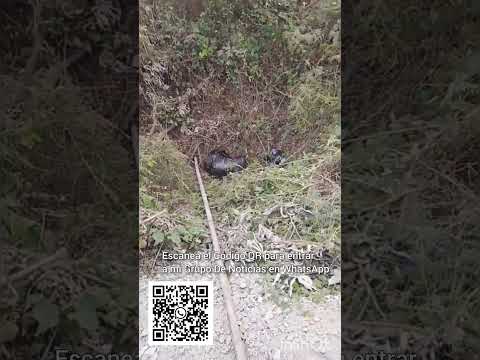 #SALITRE - #Guayas En la orilla del carretero del sector Poza de Cacao se encuentra un "ensacado"