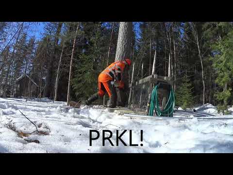 Kun kaatosahaus menee perseelleen.