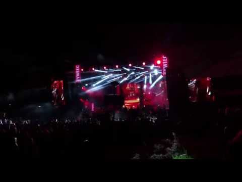 MĘSKIE GRANIE 2016 WROCŁAW WATAHA HD