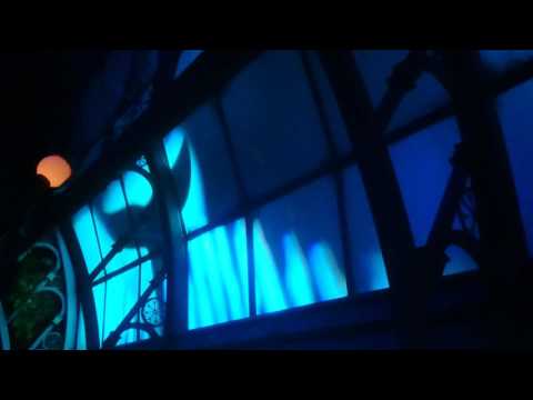 Scheurenende ruiten in botanicum symbolica