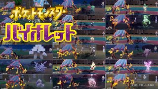 【ポケモンSV】#9 ムウマちゃん大活躍