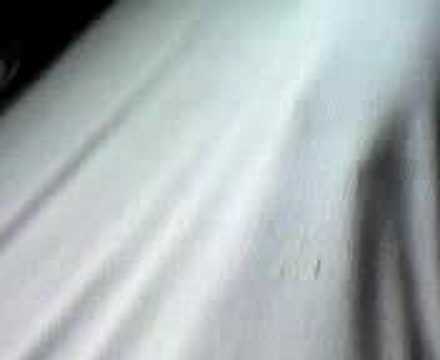 My pussykat so cute undercover