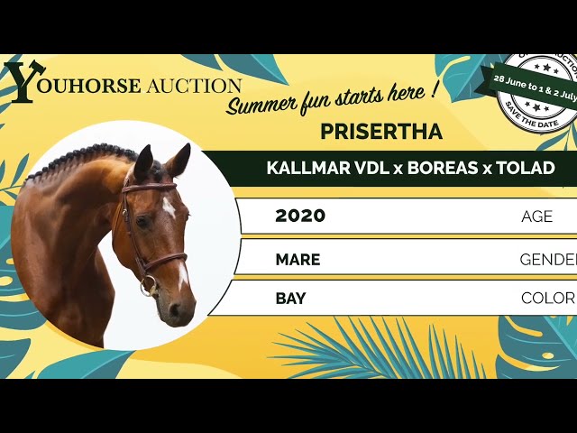 Prisertha first show
