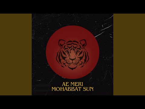 Ae Meri Mohabbat Sun DJ