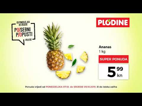 Plodine super akcija od 07.-09.10.2019.