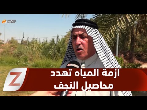فيديو | النجف.. أزمة المياه تهدد موسم الحنطة والجمعيات الفلاحية تطالب بتدخل حكومي عاجل