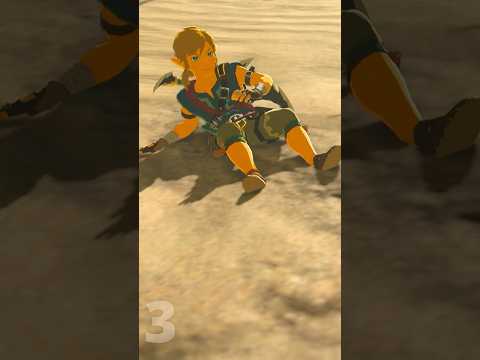 6 Things EVERY BotW Player has done! (1)