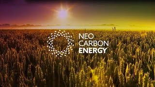 Neo-Carbon Energy: Future Energy System