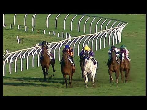 Galoppo 18/01/2021 - 5ª corsa