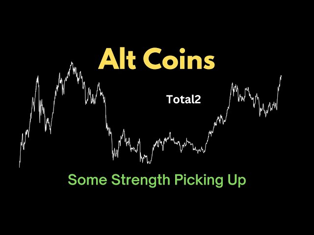 Josh Olszewicz – Alt Coins: Some Strength Picking Up (28.11.2024 Summary)