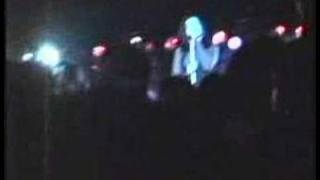 Tribe at Avalon Dogflower Serenade