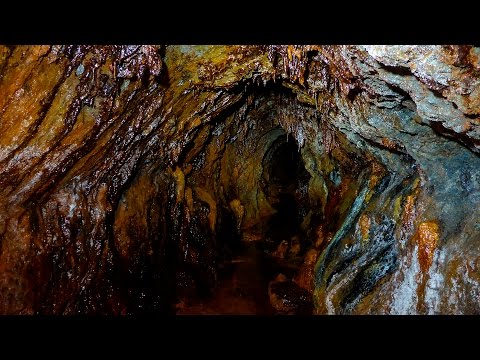 A colourful coast tunnel