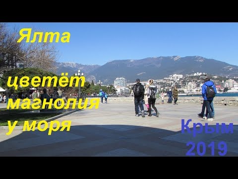 Крым, Ялта 2019, Набережная 30 марта. Многолюдно, тепло, зацвела магнолия