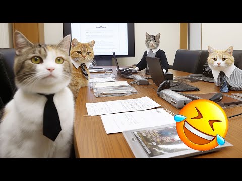 Essayer de ne pas rire les animaux les plus drôles 2025 partie 5