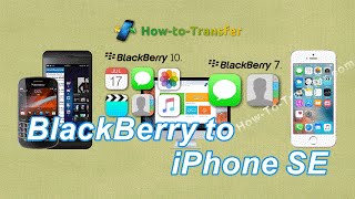 How to Restore Contacts, Photos, Music, Videos from BlackBerry to iPhone SE