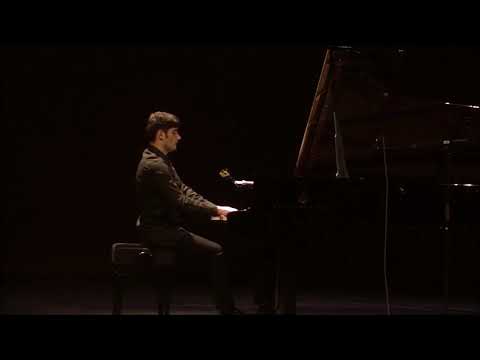 Jean Sibelius ‒ Impromptu op.5 no.5 (B Minor) Martin Shahbazyan