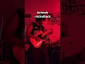 Animals By Nickelback Guitar Guitar Music Guitarist Guitarcover Musician Metal Metalmusic