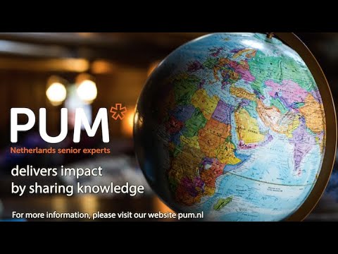Meet PUM Netherlands senior experts