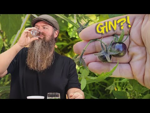 Kann diese verrückte Zutat Gin wirklich lecker machen?