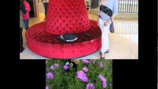 when i see your smile amie