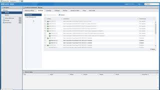 Overview of ESXi Flash WebGUI