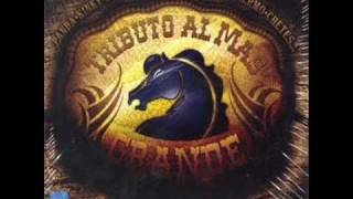 BRONCO LAGRIMAS SAL Y LIMON