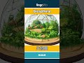 biosphere - 生物圈 video thumbnail