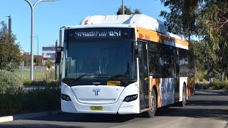 Sita/Transit Systems #187 BYD D9RA (Gemilang)